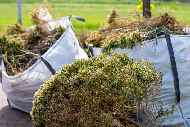 Best Shed Removal  in Vineyard Haven, MA